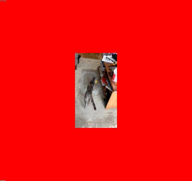 pT0n2caK